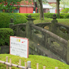 橋