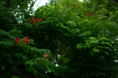 バスを待つ時間に2 バスを待つ時間に2