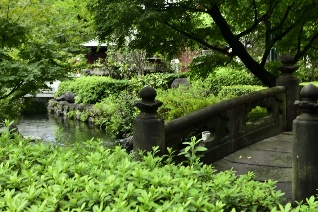 浅草寺・橋