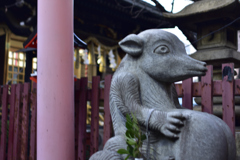 柳森神社巨大〇玉