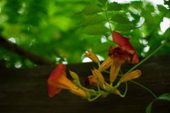 バスを待つ時間に バスを待つ時間に