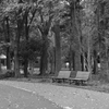 公園