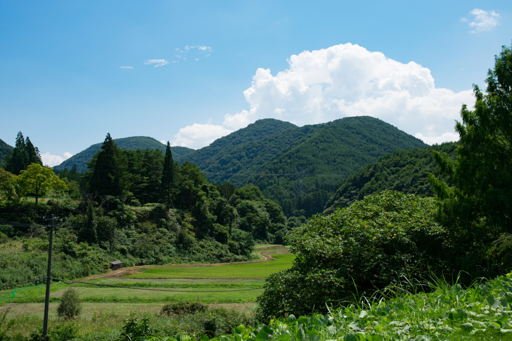 南会津風景