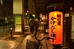 かけだし横丁