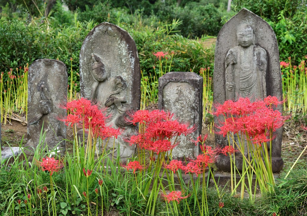 石仏と彼岸花