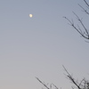 夕空に月