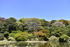 小石川植物園