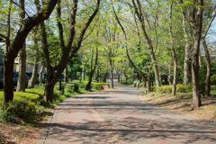 公園通り