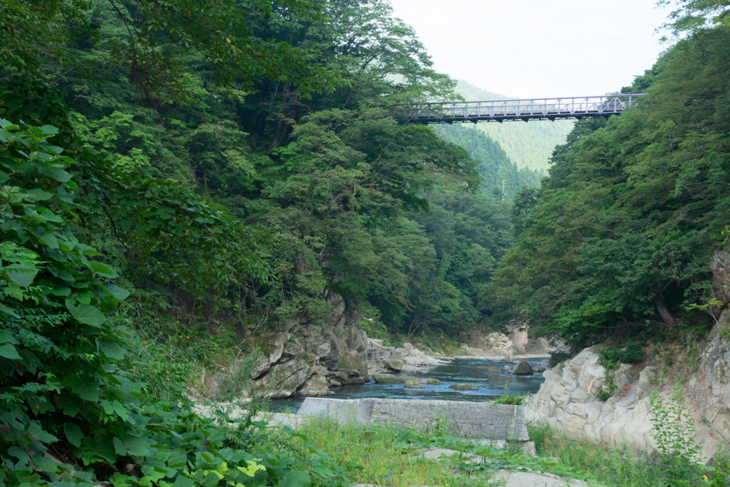 阿賀野川