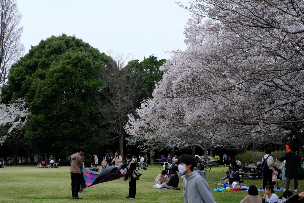 憩いのひと時