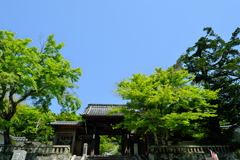 修善寺