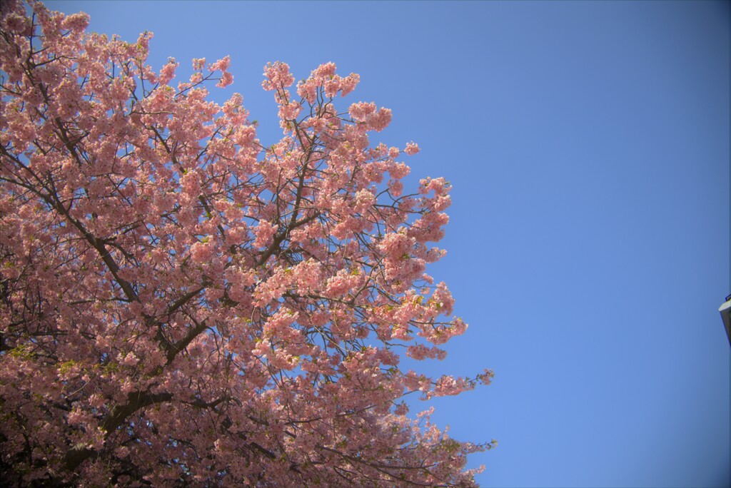 重要な要素は青空