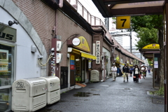 はとバス