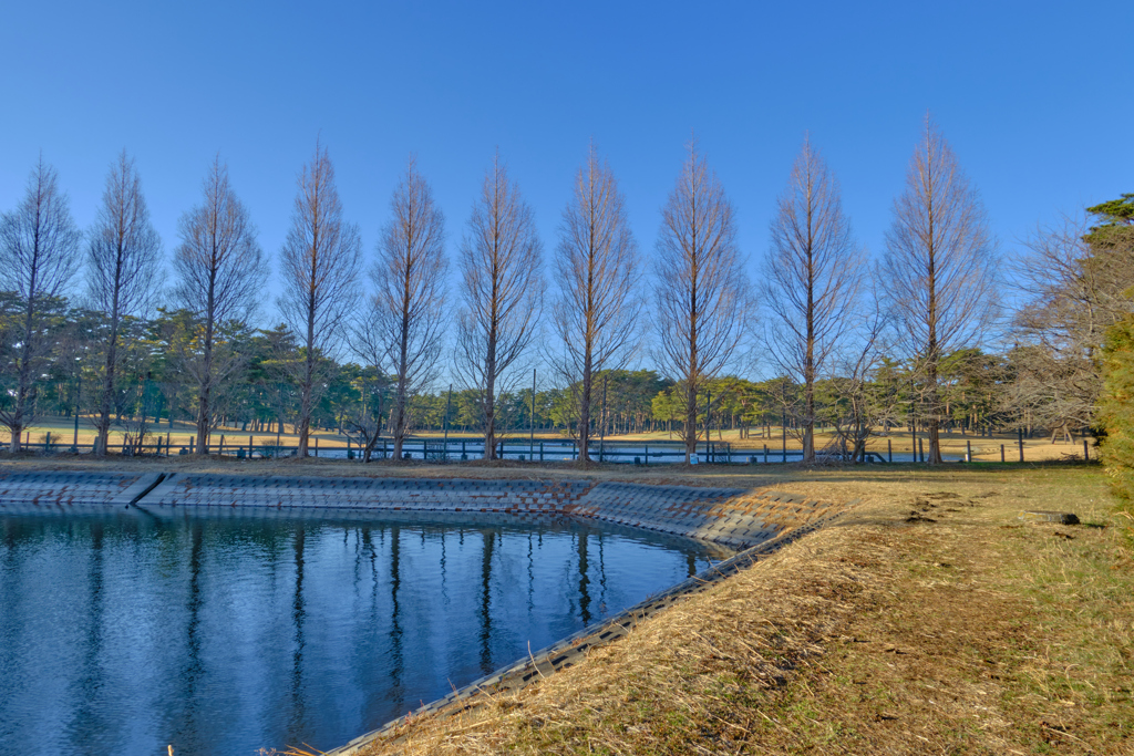 水辺の散歩道