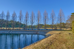 水辺の散歩道