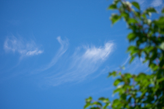 夏空の雲