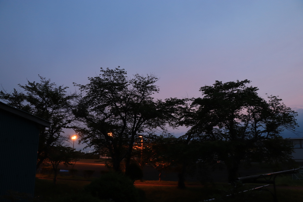 庭からの夕日