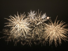 41C101E8-EF54-46C1-8569-91837EA78639