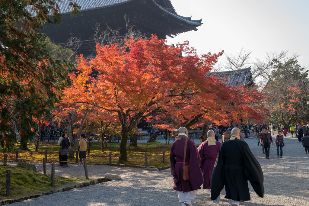 紅葉と三連星