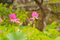そろそろ本番です