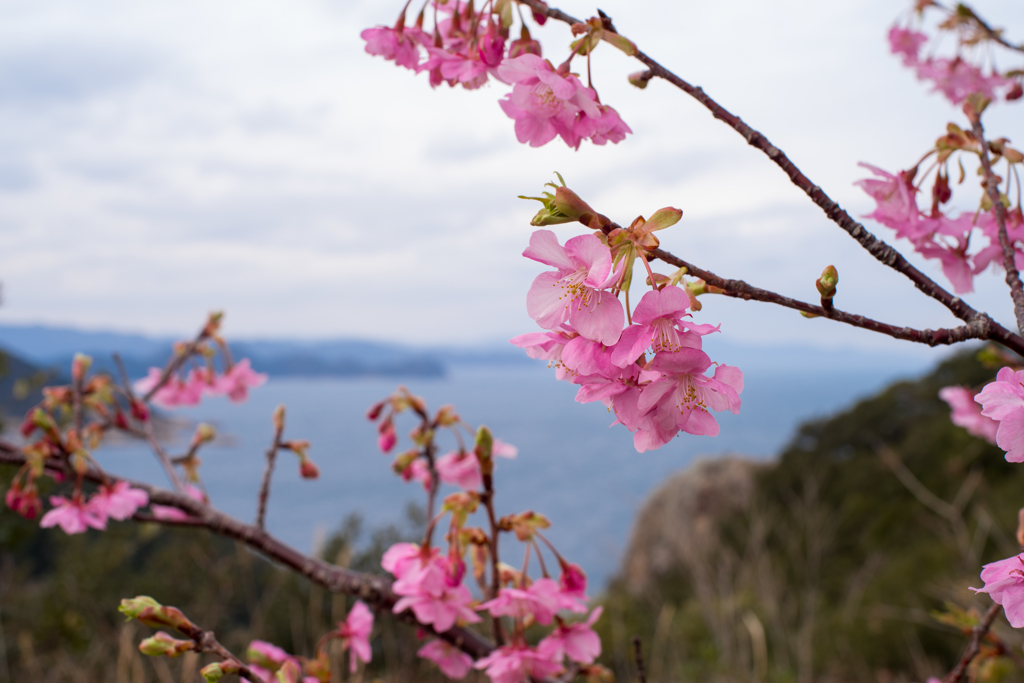 海と・・・