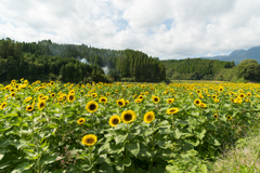 活躍シーズンは夏だけではないんですｂ