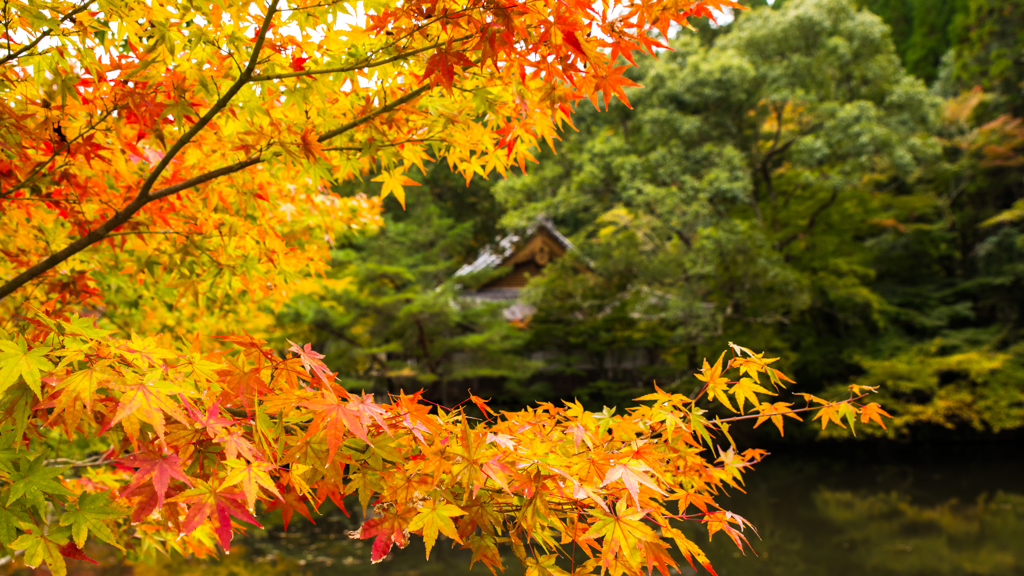 宝生寺