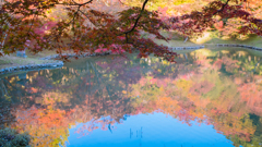 日陰