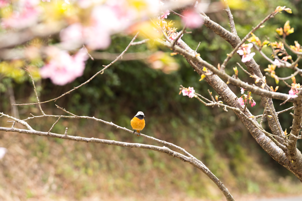 お互い相手の観察中