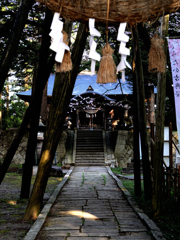 神社と桜