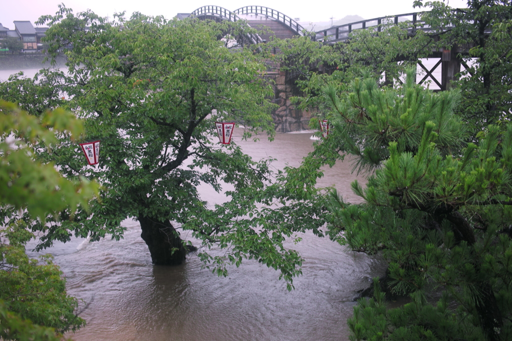 錦帯橋２０１８０７