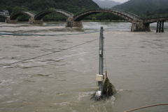 錦帯橋豪雨