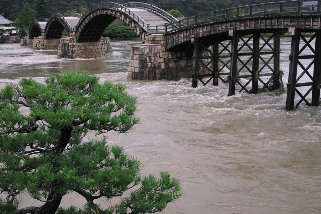 錦帯橋豪雨