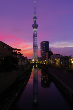 スカイツリー