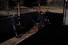 遺産