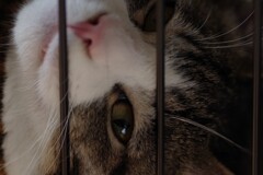 真実