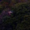 君のもとへ