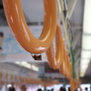 ハチもおでかけ