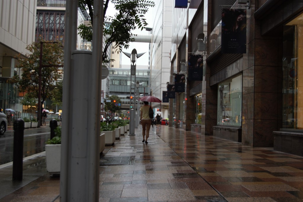 雨の日の歩道（2）