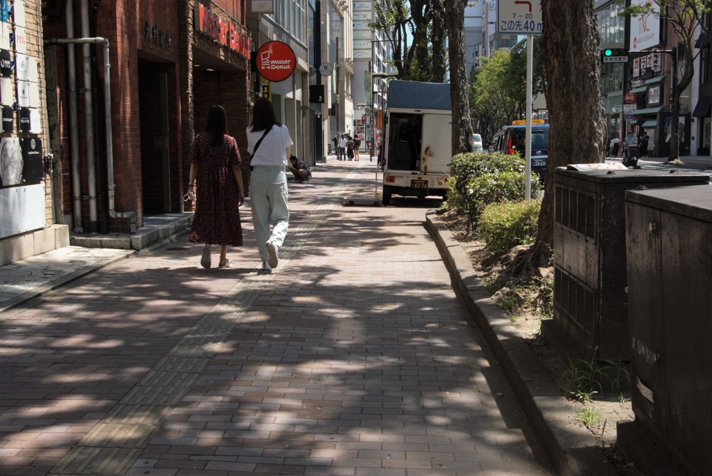 木陰の歩道　福岡市けやき通り