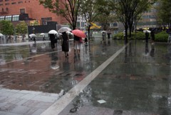 雨の博多駅前