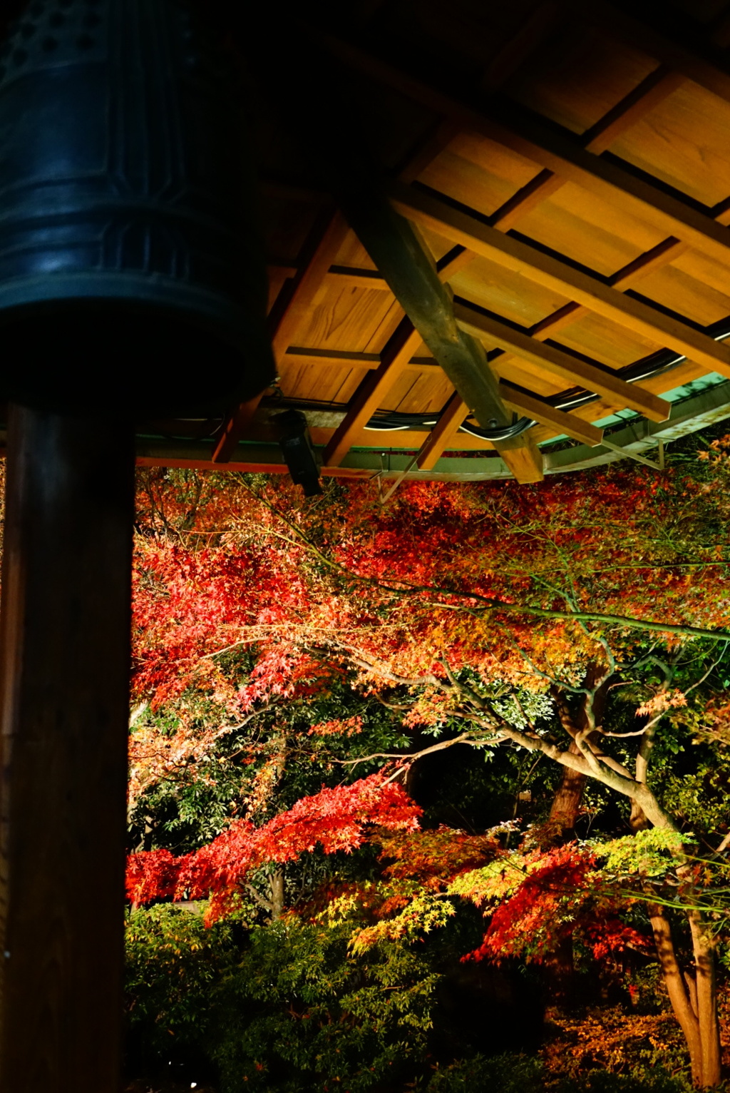 京都 圓徳院にて
