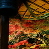 京都 圓徳院にて