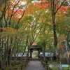 京都で紅葉探し１地蔵院