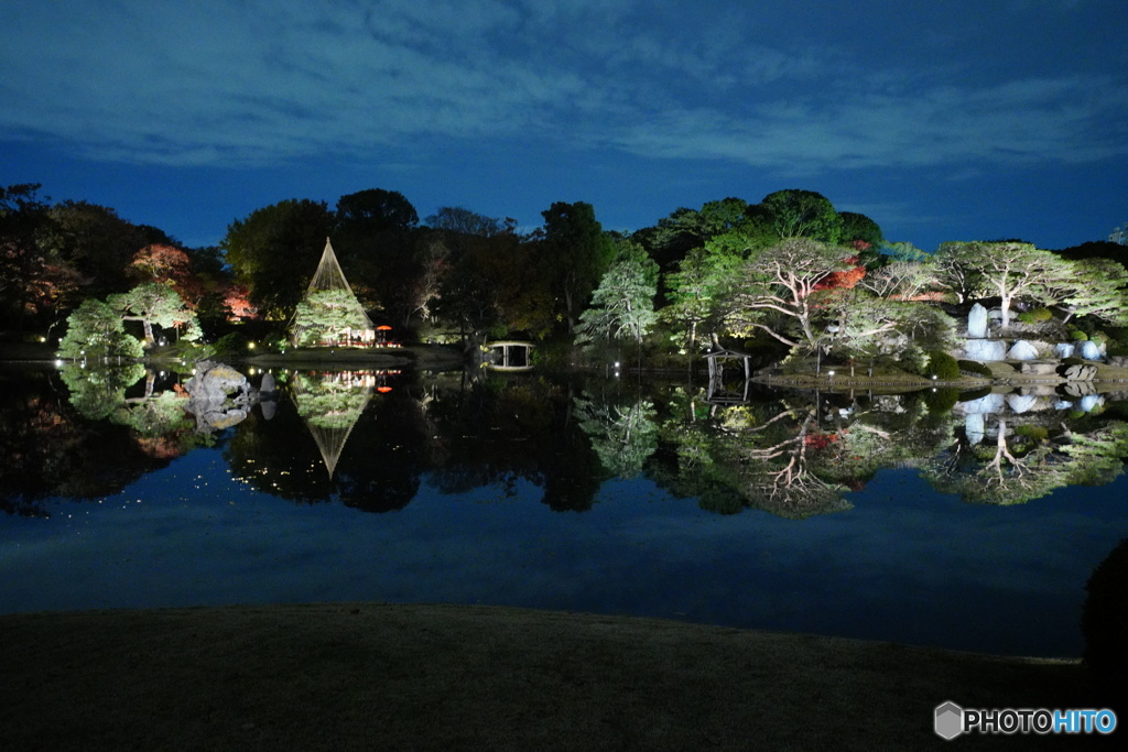 夜の六義園