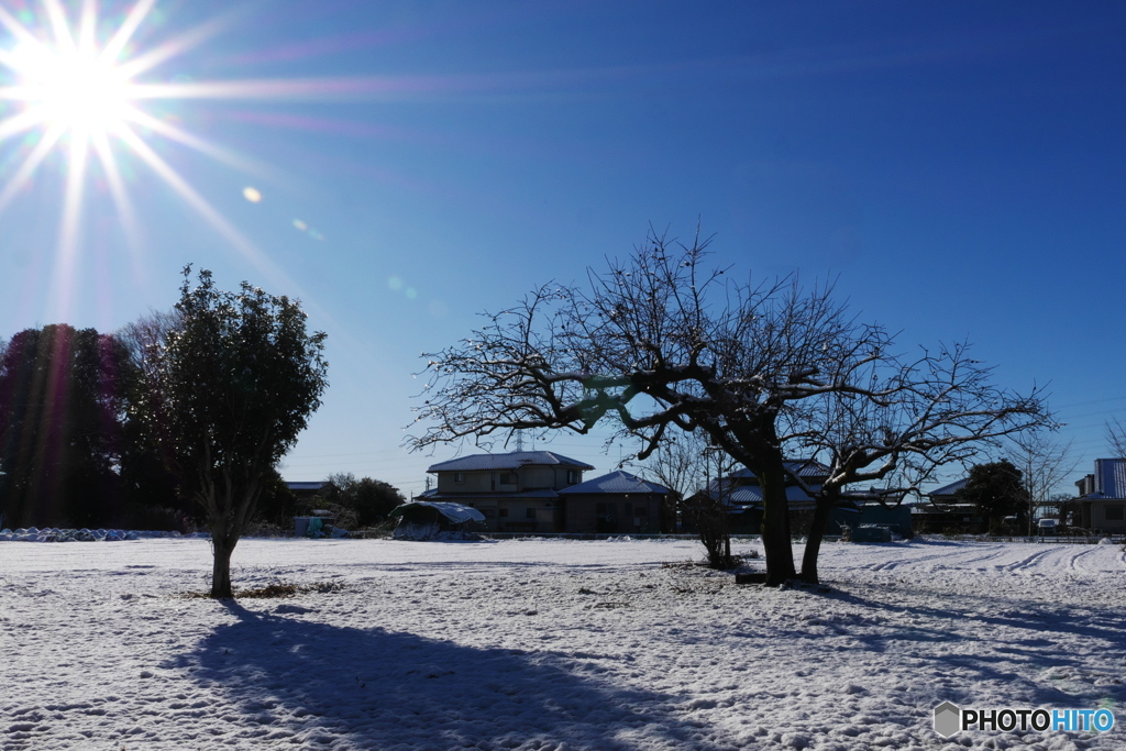 あけましておめでとうございます