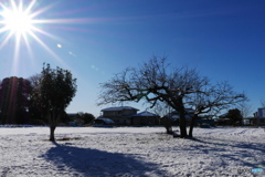 あけましておめでとうございます