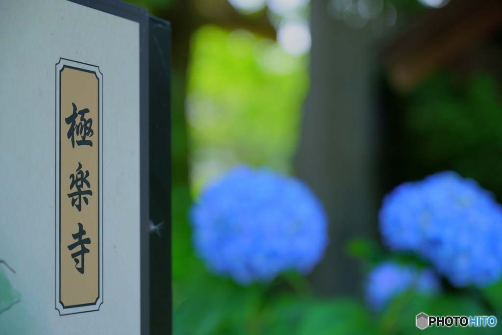 極楽寺