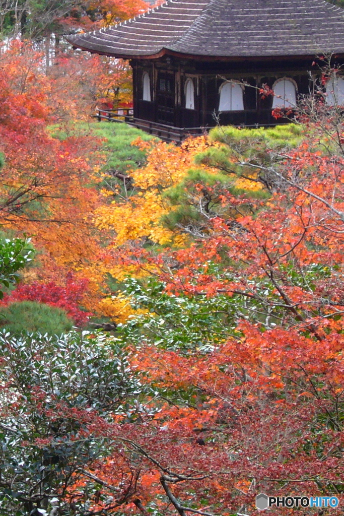 銀閣～紅葉の海に漂う～