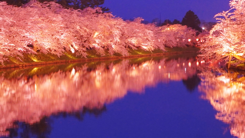 弘前公園　桜ライトアップ